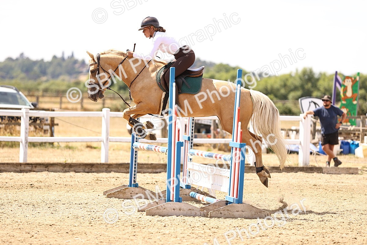 SBM_000796 - Class 3 - Senior British Novice - 90cm