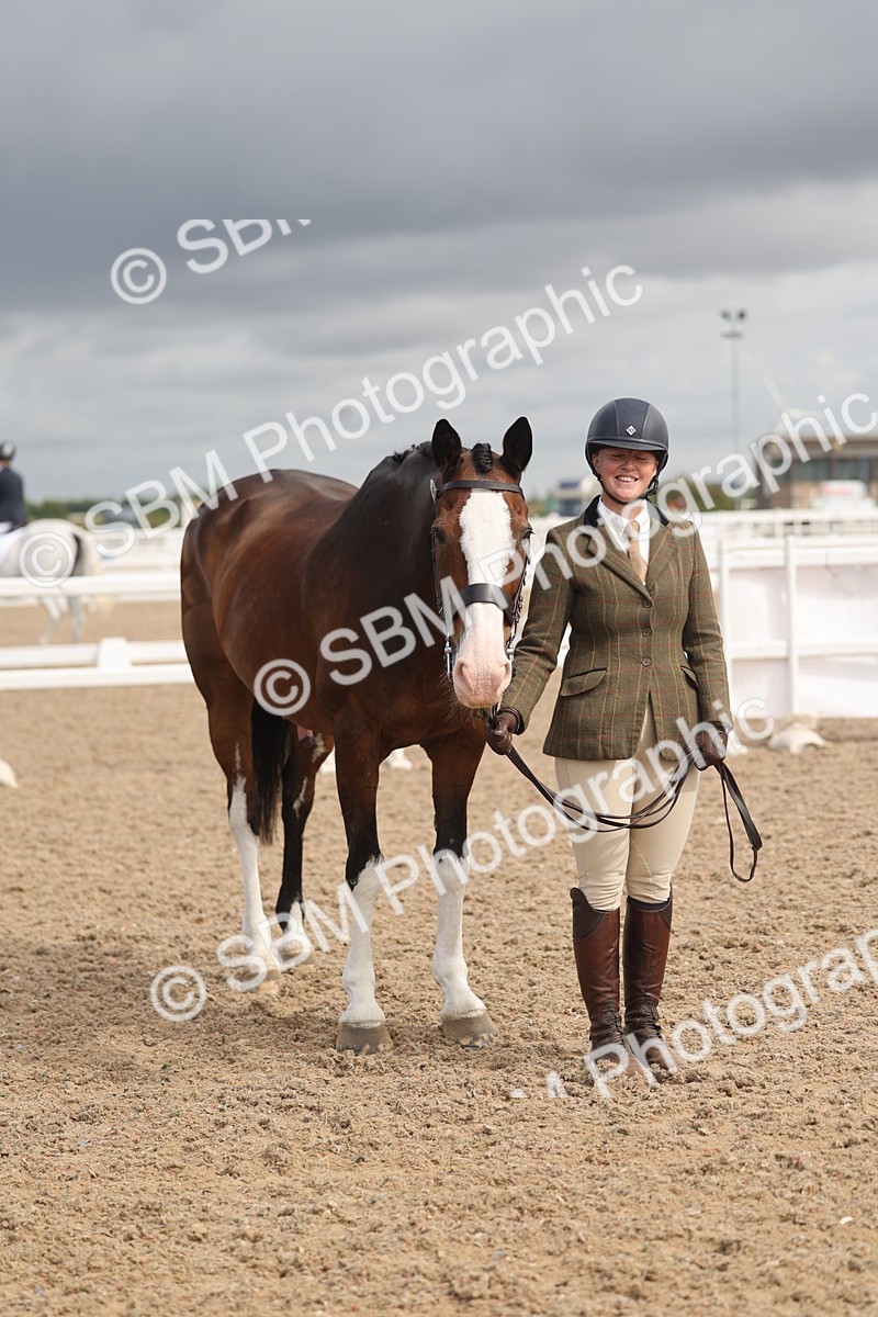 SBM_04426 - Class 18 - Handsomest Gelding (IH or Ridden)