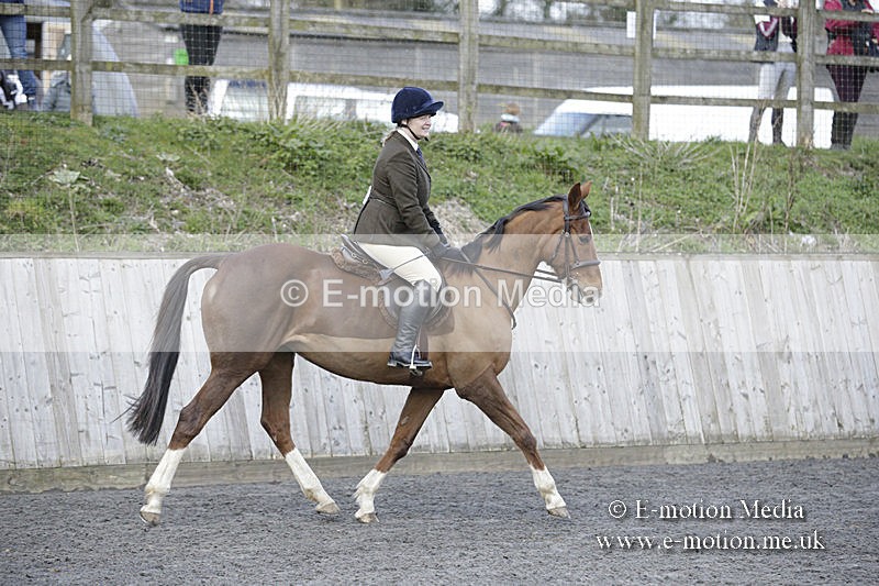 BVRC 050320 0166 - Bourne Valley riding Club Show Jumping Tidworth 08/03/20