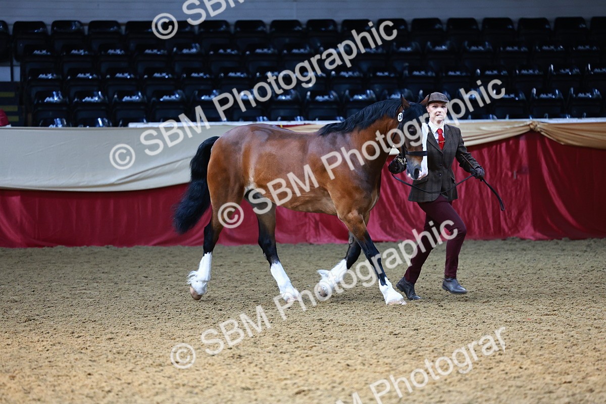 SBM_22188 - Class 902 - Supreme Final - IH Diamond