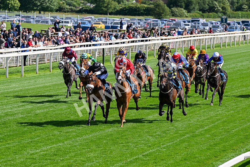 120626-Race 6-Rotokura Belle-0340 - Race 6 16.45pm Dawson Williamson Architects Handicap