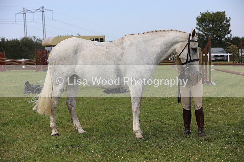 JPP_3930 - Class 23: Working Hunter 80cm