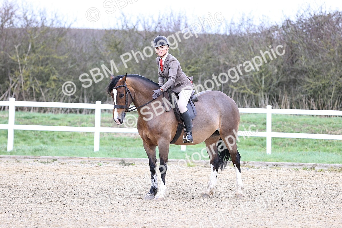 SBM_006968 - Class 29 - 30 - M&M Pure Novice Small-Large Breeds