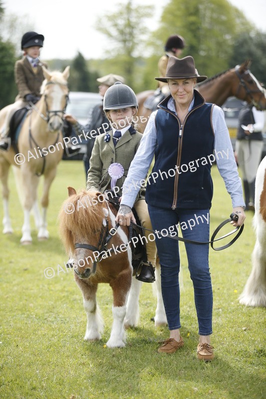 20260426-2167 - Class 9 - Handsomest Gelding