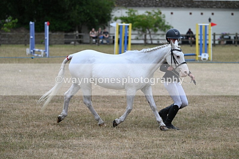 WJ7_8308 - Class 4 Prettiest Mare up to 14.2hh