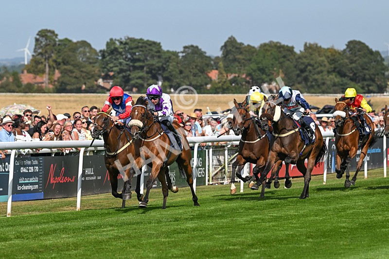 130825-Race 4-Dumfries-8518 - Race 4