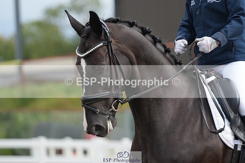 250907-105242-05920 - 039-Claire.RandallUndeclared