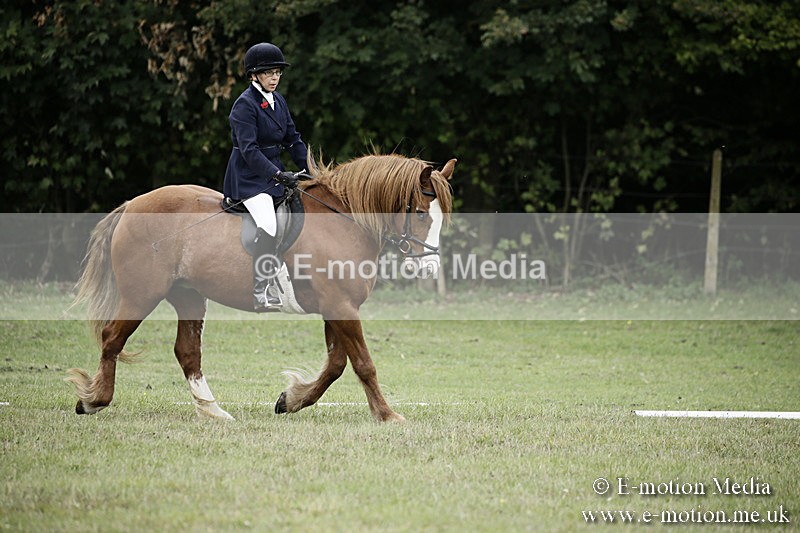 BVR080918 49 - BVRC Novice Dressage & CR 08/09/18