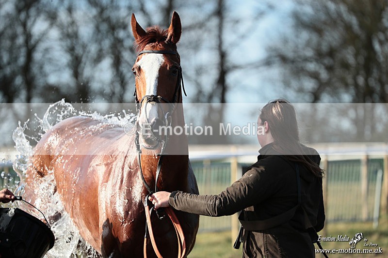 PtP 240126 679 - Cambridgeshire & Enfield Chase PtP Horseheath 24/01/26
