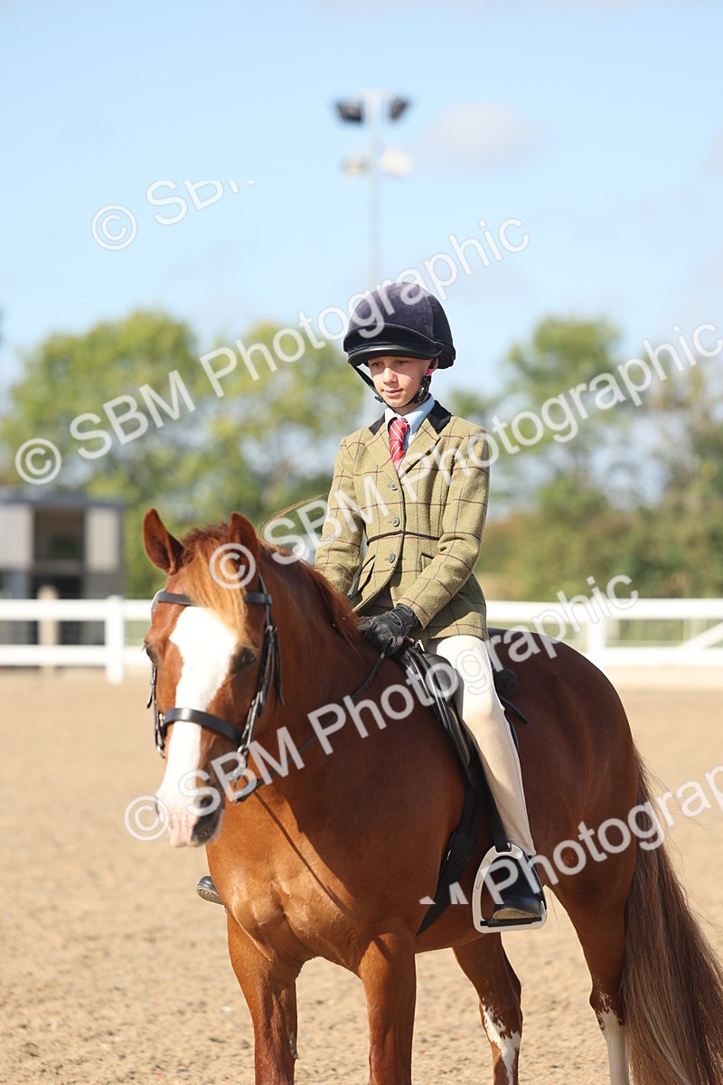 SBM_22628 - Class 804 - Ridden Veteran Pony