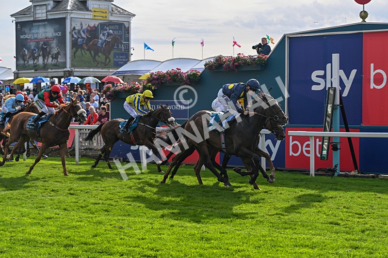 060926-Race 6-Power Fizz-8790 - Race 6 4.25pm Eboracum Security Handicap