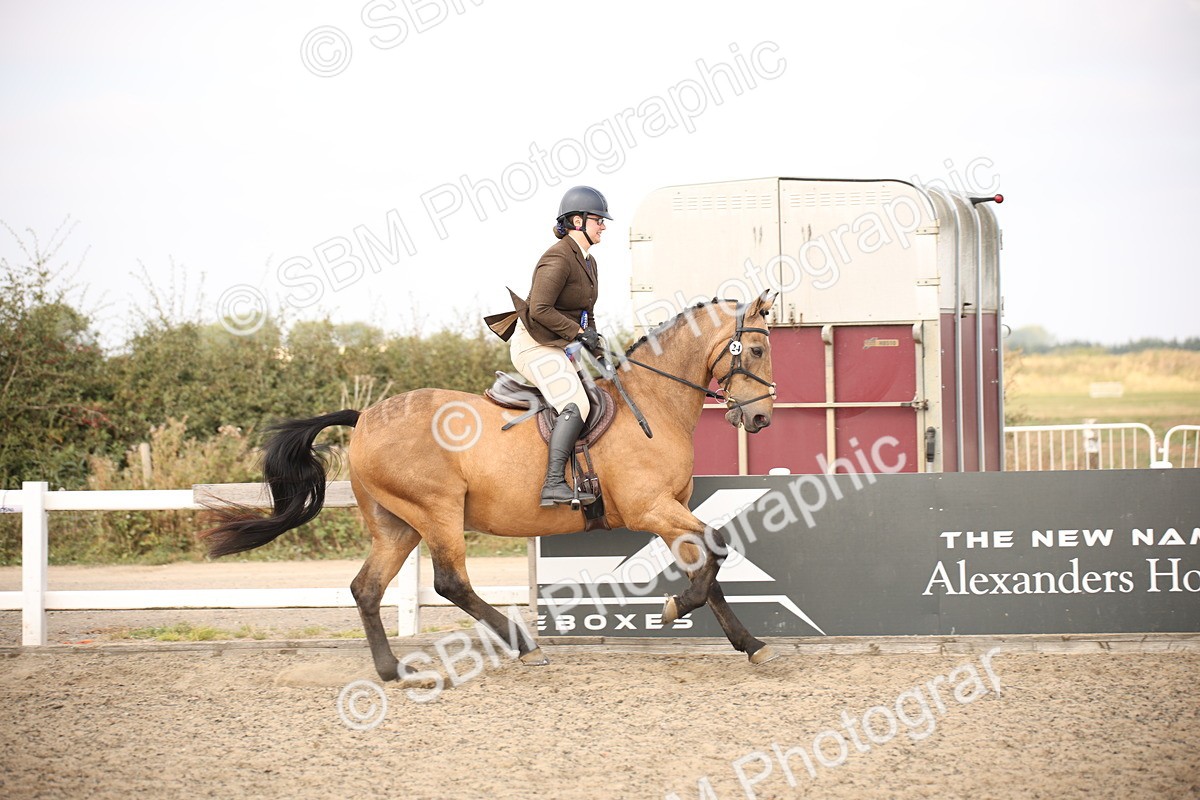 SBM_17168 - Class 409b - Working Veteran 80cm (20+)