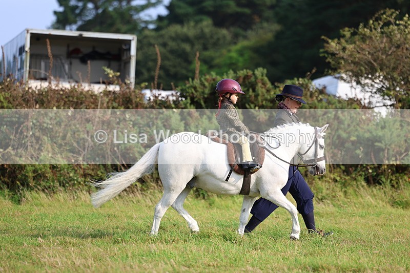 3E7A3360 - Class 2: Lead rein