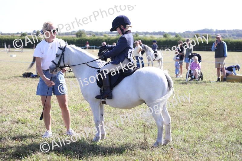 20260906-2226 - Class 16 - Family Pony