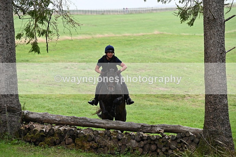 WJ6_1951 - Time 13:31 to 14:00