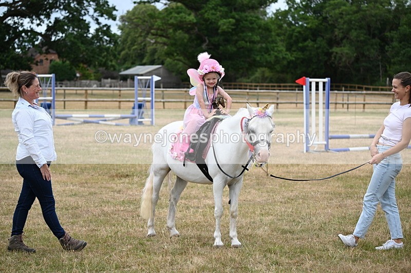 WJ6_4987 - Class 11 Fancy Dress