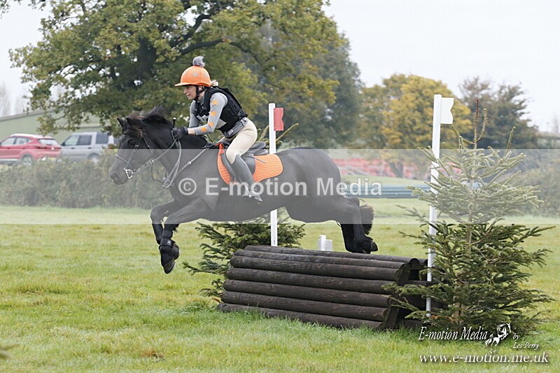 WWHT 181020 WWHT 181020 320 - WWEC Novice Restricted (0.80m) 18/10/20