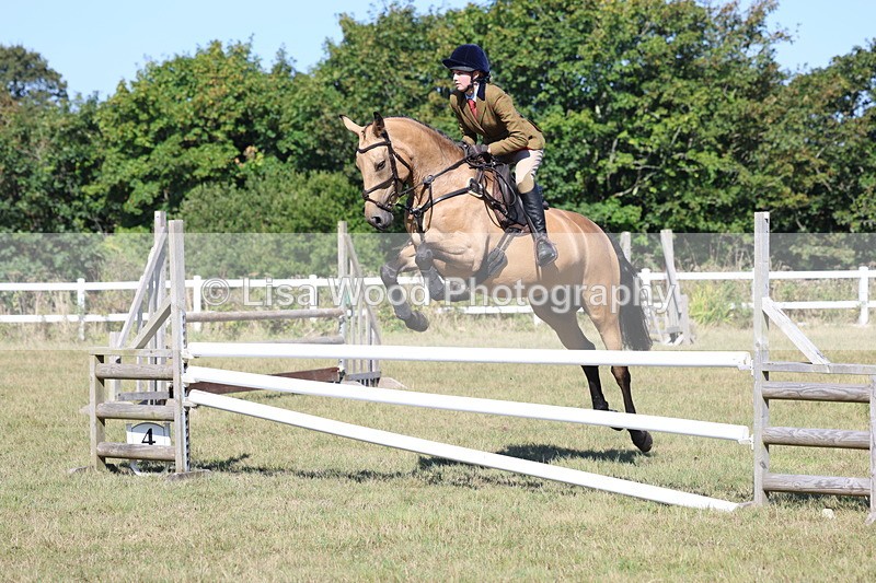 3E7A5784 - Class 5: Working Hunter 90cm
