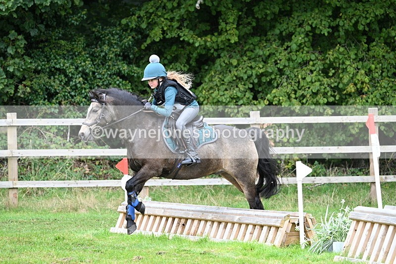 WJ7_7519 - 40cm Time 10:27 to 10:47