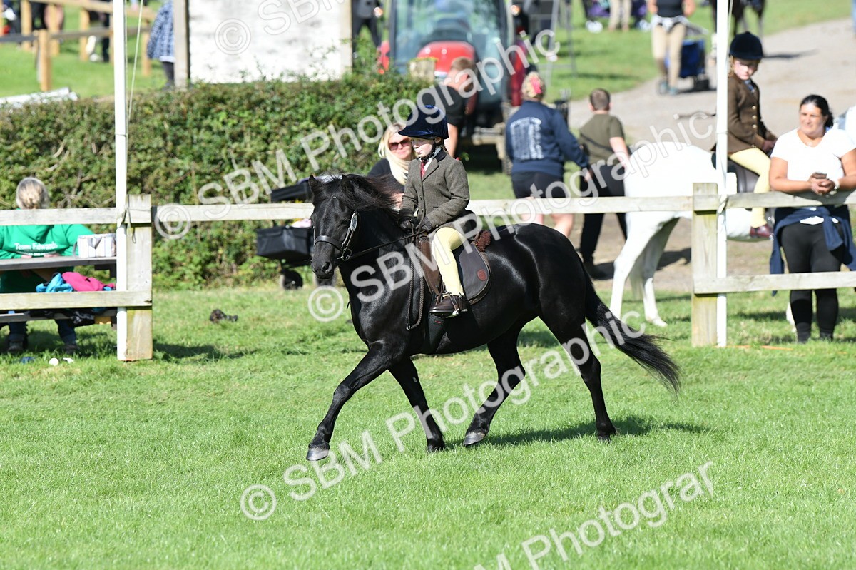 SBM_50339 - S21 - Novice & Newcomers 1st Ridden Pony