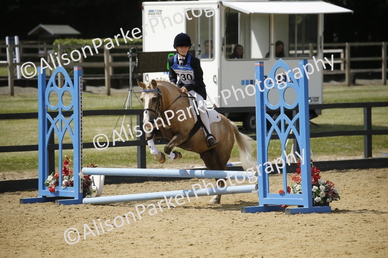 20250622-3932 - 50cm