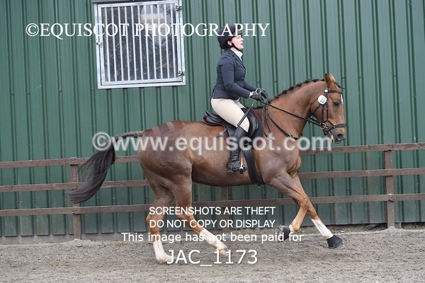 JAC_1173 - CLASS 8 BHS Scotland Riding Club Working Hunter Qualifier (1.00m)