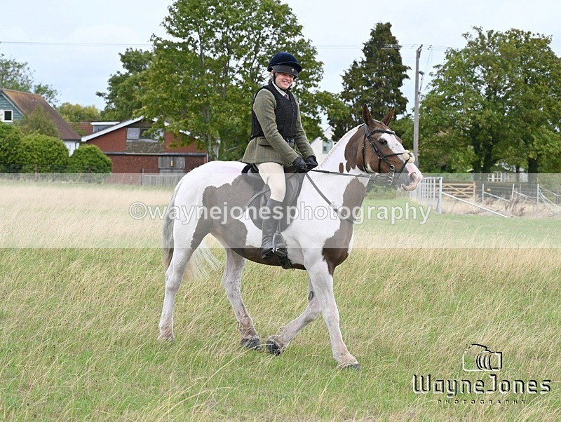 WJ7_0648 - Berks & Bucks Hound Exercise Blewbury 13-09-26
