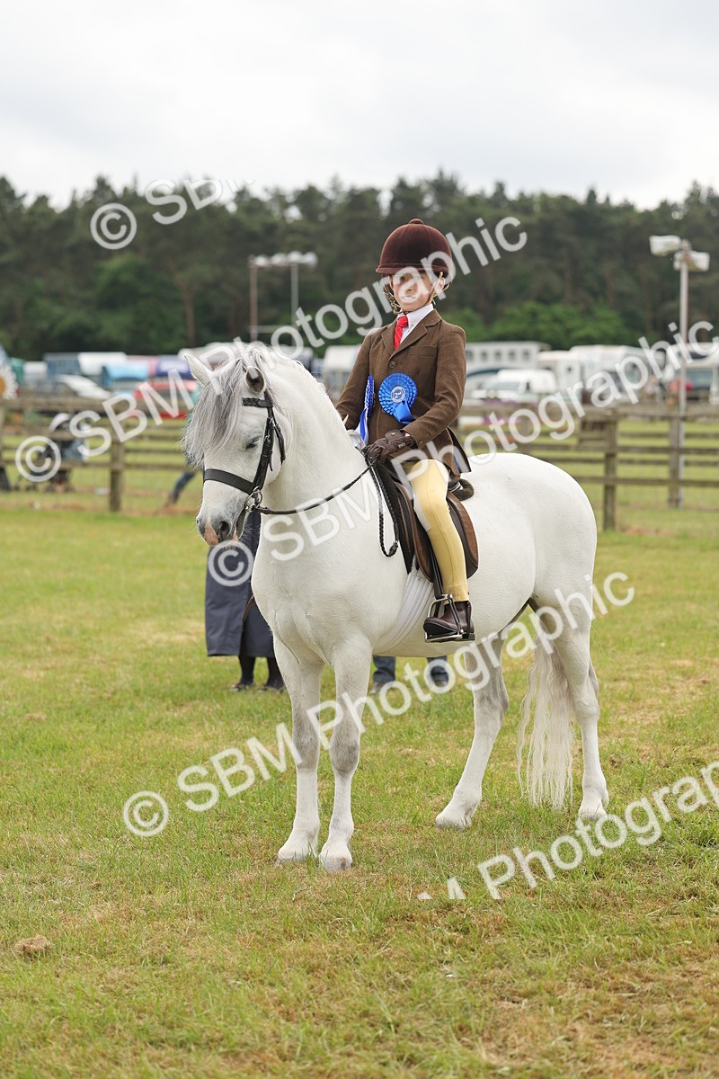 SBM_06959 - Class 74-75 - M&M Lead Rein and First Ridden Pony