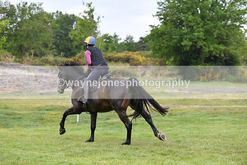 WJ5_4491 - Time 10:09 to 10:37