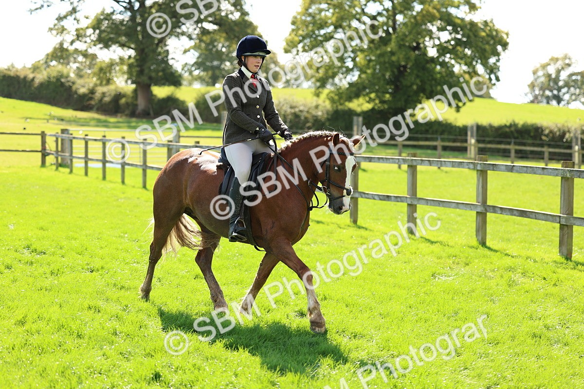 SBM_45426 - S33 - Working Hunter Pony