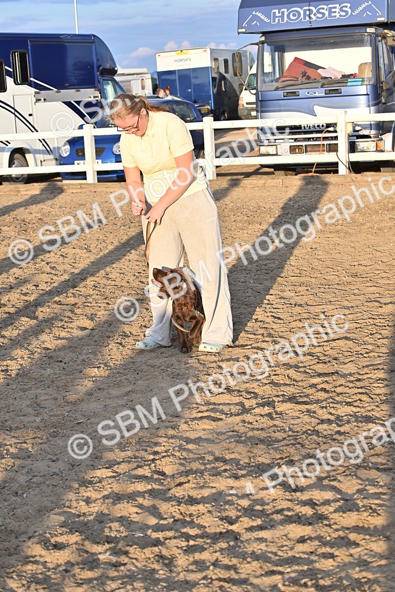 SBM_09662 - Lorry Dogs