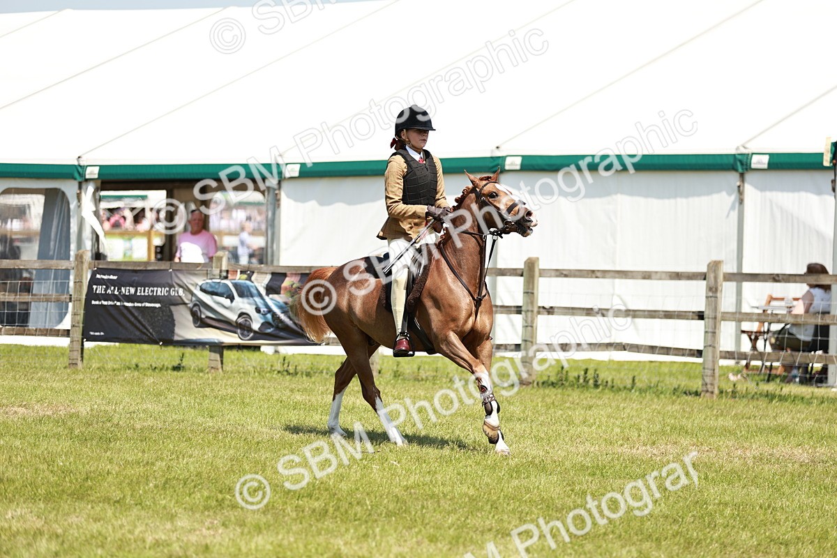SBM_15640 - Class 108-109 - BSPS LIHS Open Gradle & Nursery Stakes