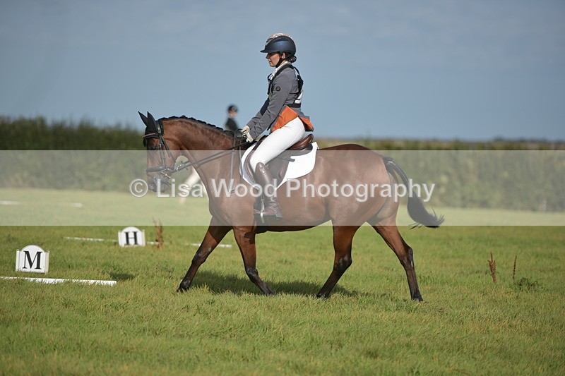 RAY_7559 - Class 2B: Trekenning Open: Dressage
