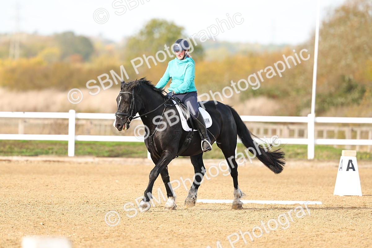 SBM_000815 - Class 3-12 - CT P2 60cm - DR P2