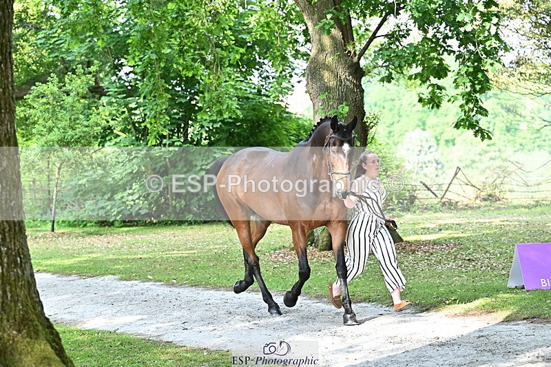 250521A-164057-01276 - C-252-Zoe.Boyles-SAM