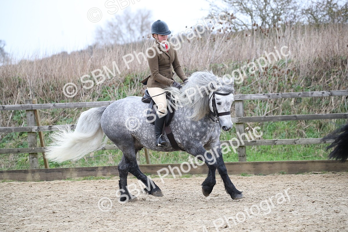 SBM_006347 - Class 10-13 - RIHS Small Large Breeds
