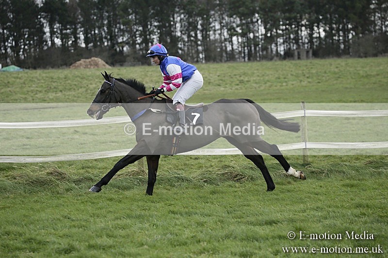 PtP 031217 96 - Hursley Hambledon Point-to-Point Larkhill 03/12/17