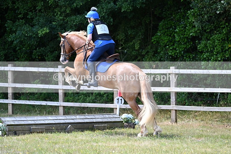 WJ7_0623 - 40cm Time 12:10 to 12:20