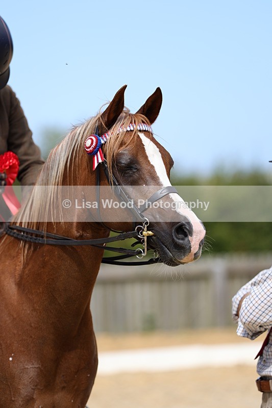 1X9A8379 - Class 13: Arab Ridden