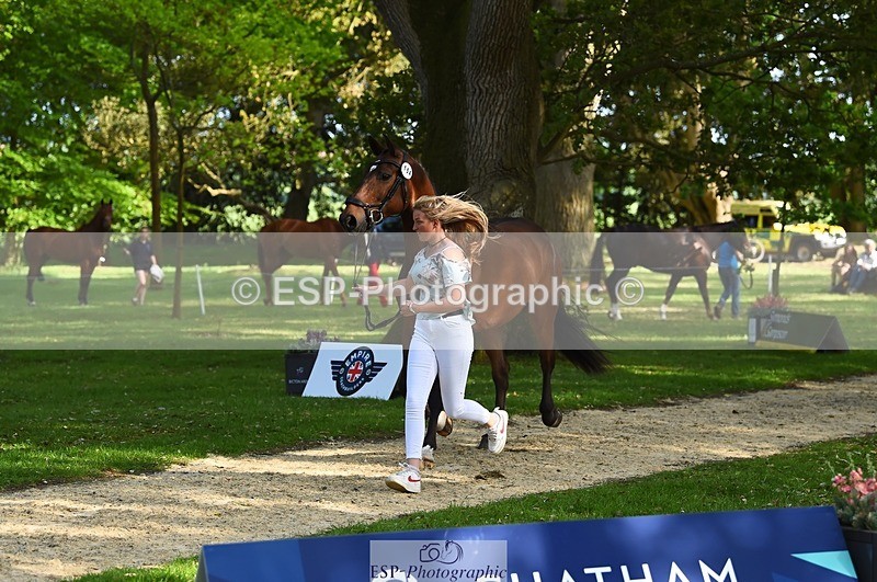 230524-170732-01295 - 154-GELUK_G-Molly_Adams-WEDTrotUp+DR