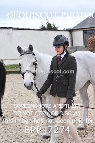 BPP_7274 - RING 1  (RIDDEN HORSES / IN HAND / VETERAN ETC)