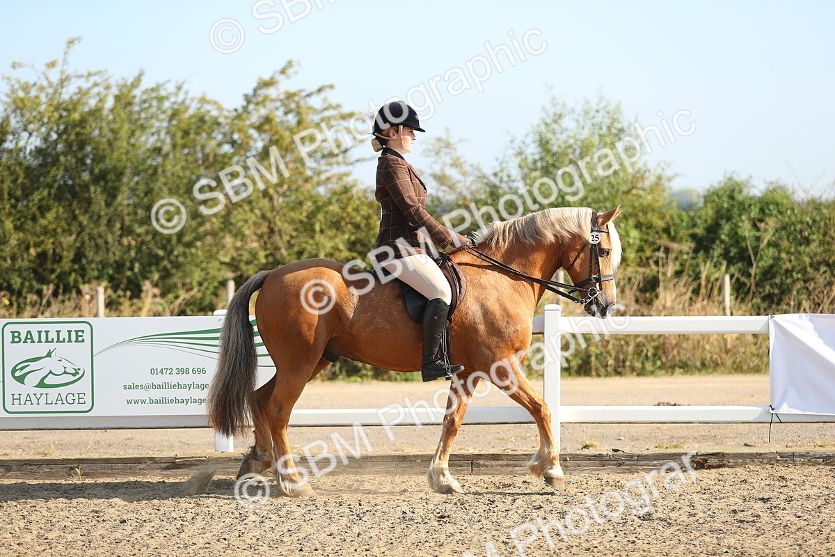 SBM_01107 - Class 42 Ridden Veteran