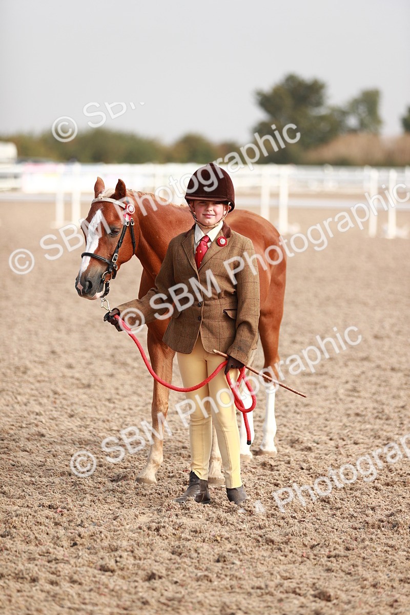SBM_09911 - Class 203 Young Handler, 10 years and under