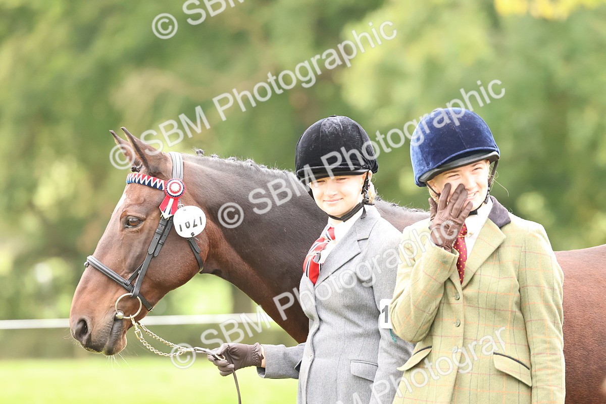 SBM_59984 - S36 - Rehabiliated Rescue Horse & Pony In Hand & Ridden