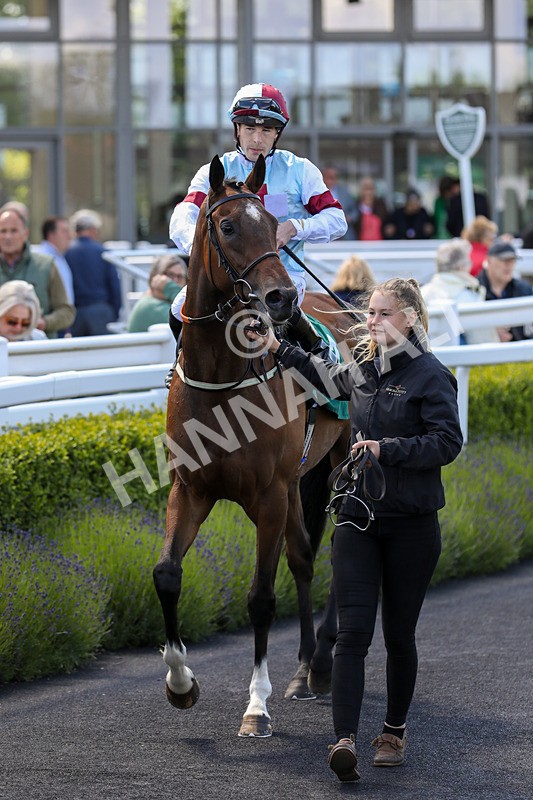 080624-Race 2-Patontheback-4662 - Race 2