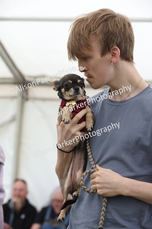 20250607-0221 - Class 4 - Little and Large