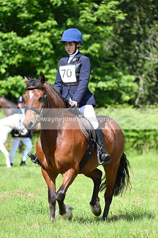 WJ7_1195 - Class 11 Condition & Turnout