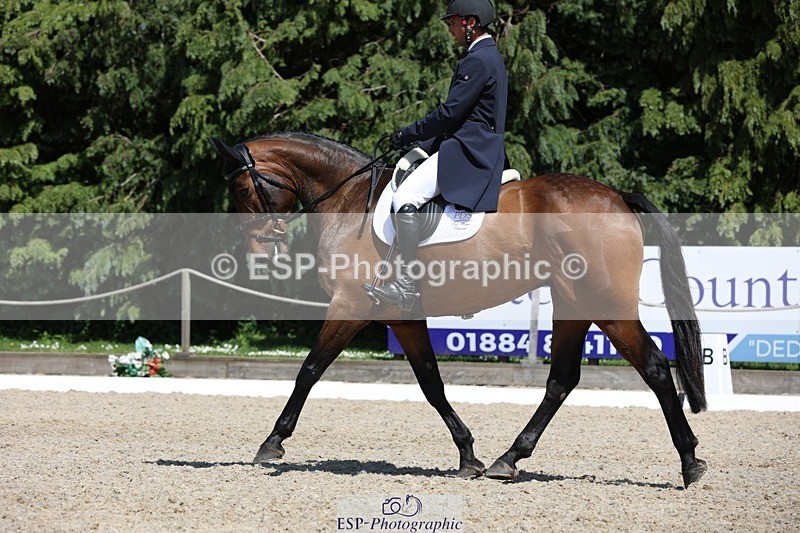 230526-144131-06519 - 374-ISLANDWOOD_THE_RISING-Sebastian_Roldan_Olivera-WEDTrotUp+DR