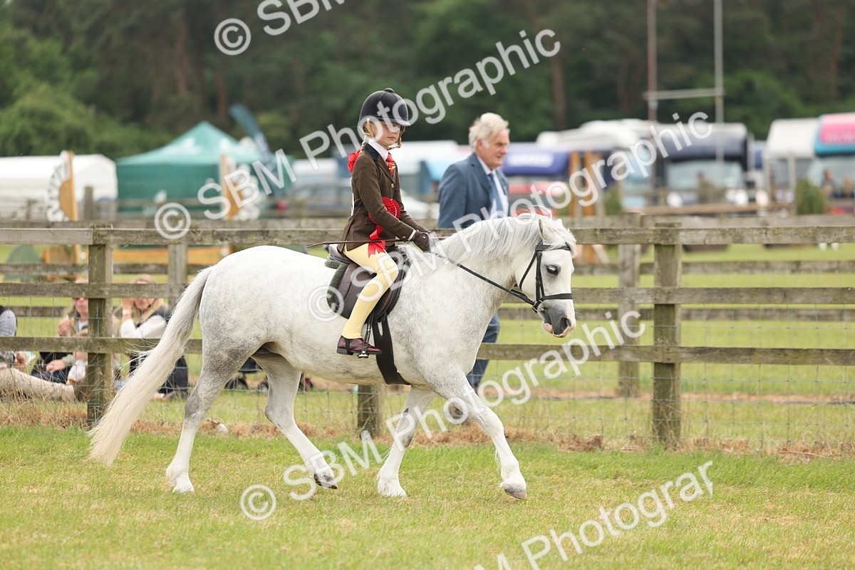 SBM_06961 - Class 74-75 - M&M Lead Rein and First Ridden Pony