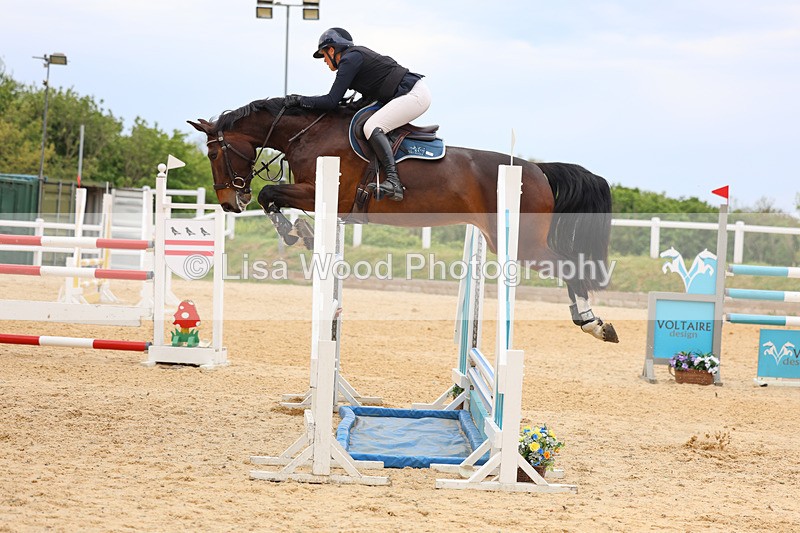 3E7A9593 - Class 9: Senior Foxhunter/1.20 open